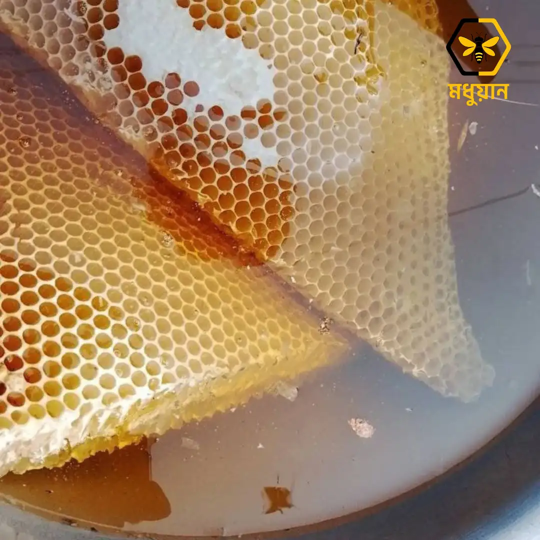 প্রাকৃতিক মধু/Natural Honey 1kg - Image 6