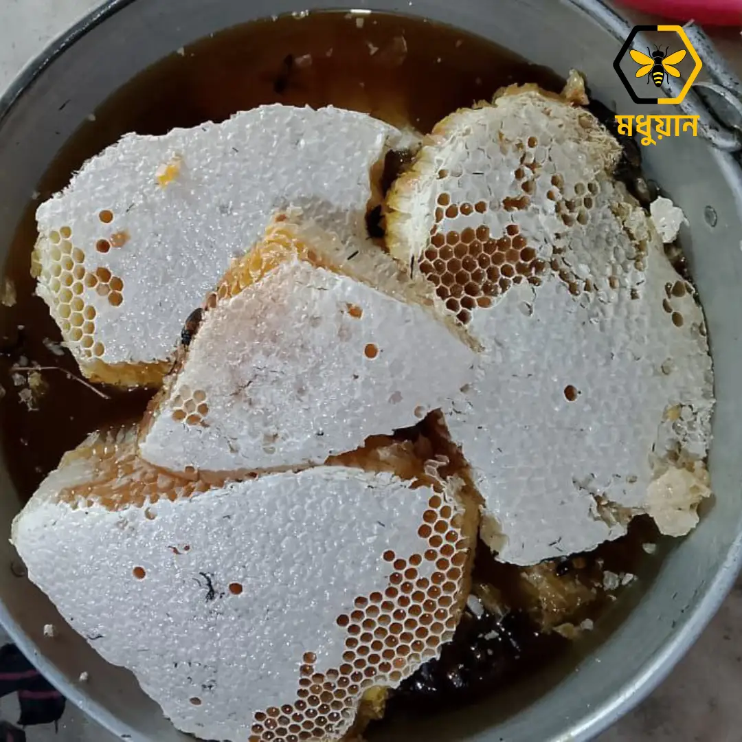 প্রাকৃতিক মধু/Natural Honey 1kg - Image 5