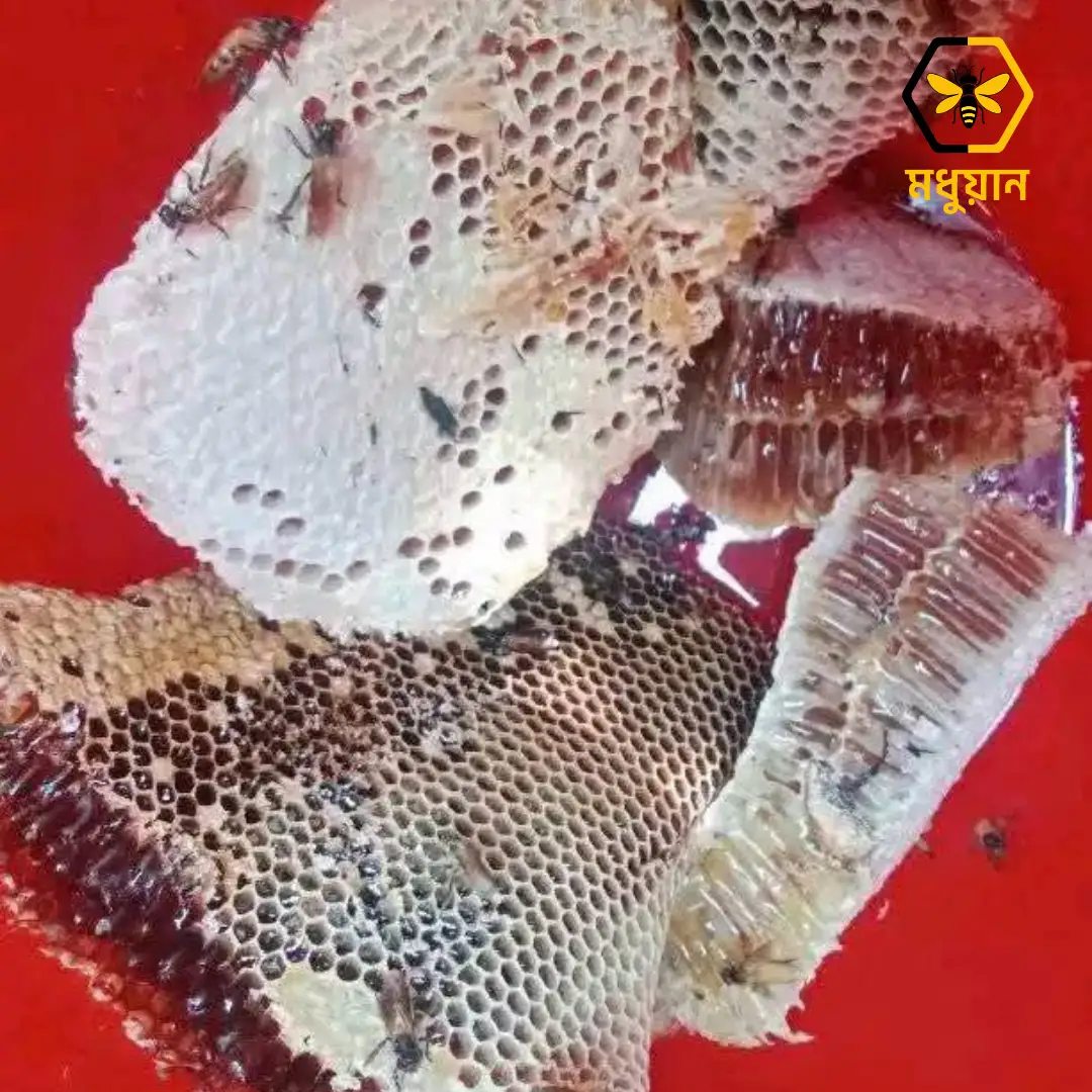 প্রাকৃতিক মধু/Natural Honey 1kg - Image 4