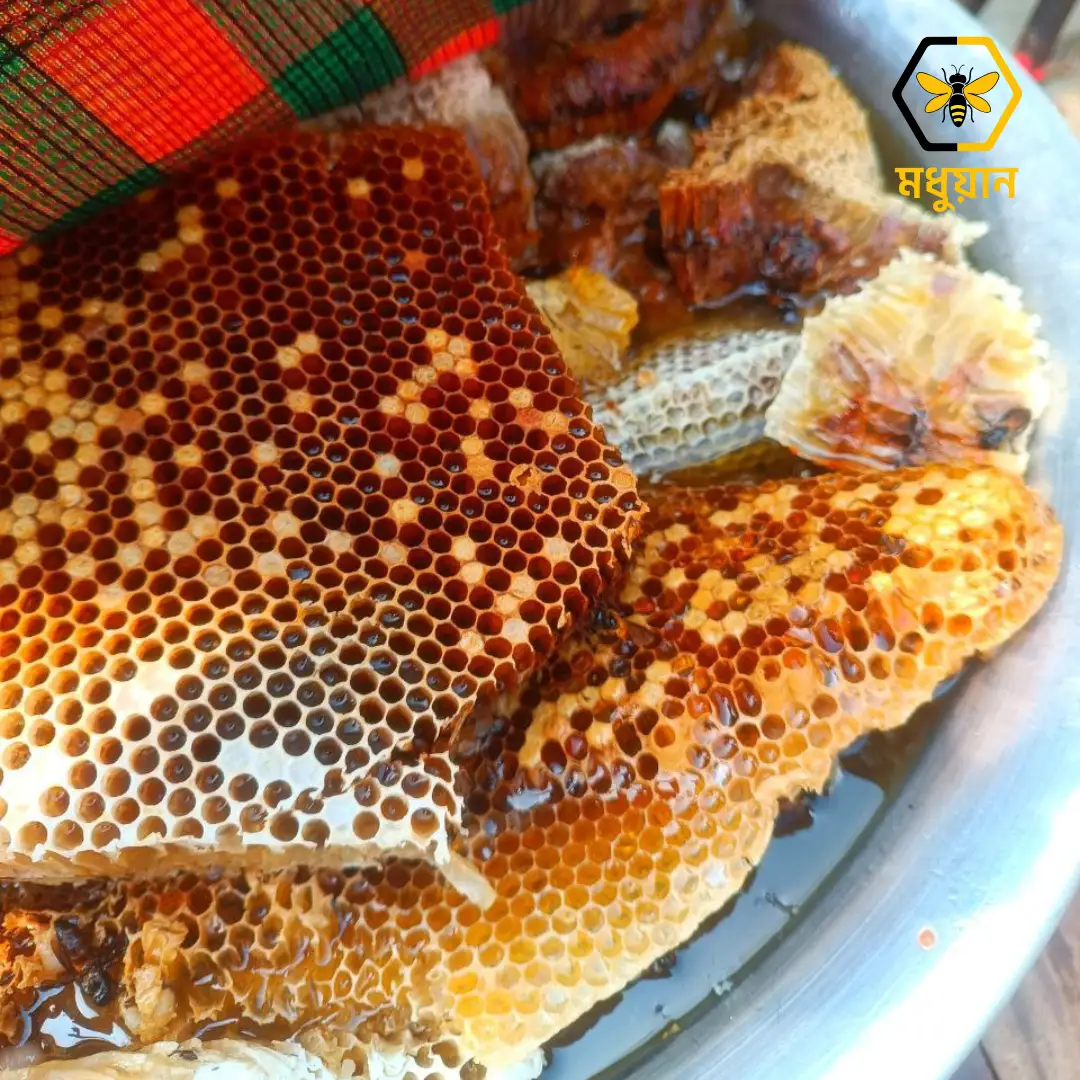 প্রাকৃতিক মধু/Natural Honey 1kg - Image 3
